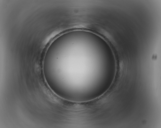 X0000113231308200909171529
