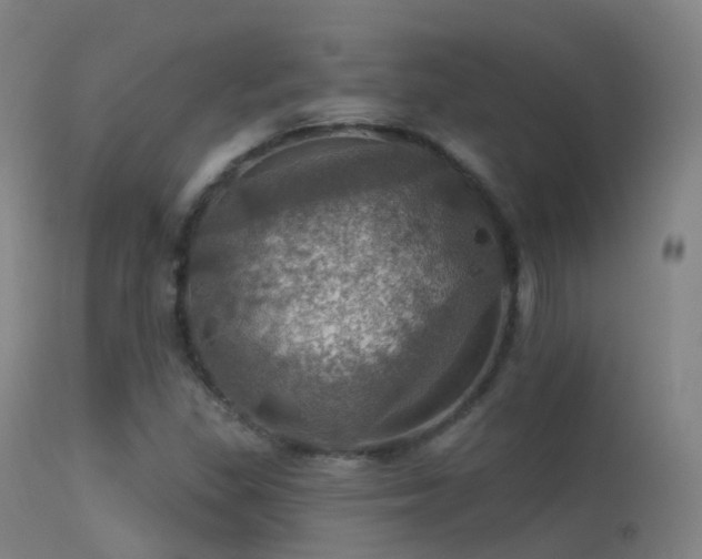 X0000113231309200909171529
