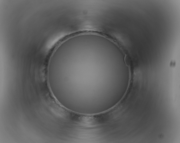 X0000113231310200909171529
