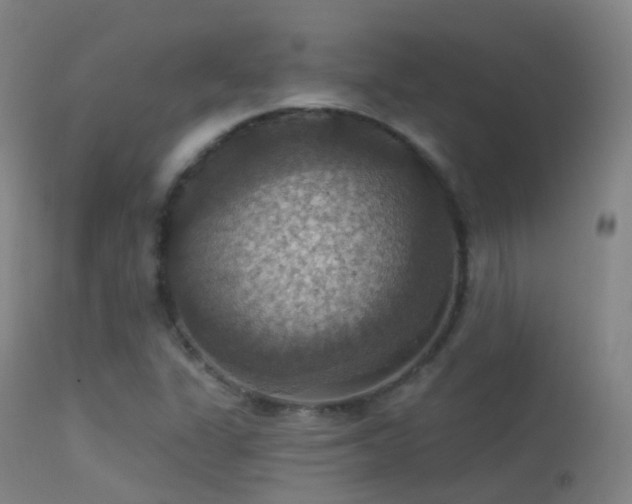 X0000113231311200909171529