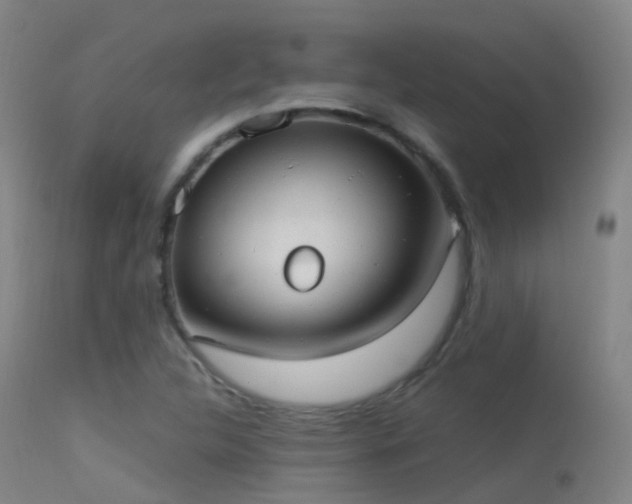 X0000113231312200909171529