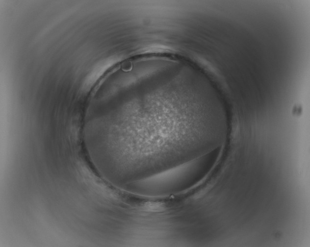 X0000113231313200909171529