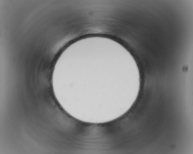 X0000113231314200909171529