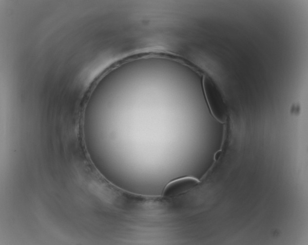 X0000113231316200909171529