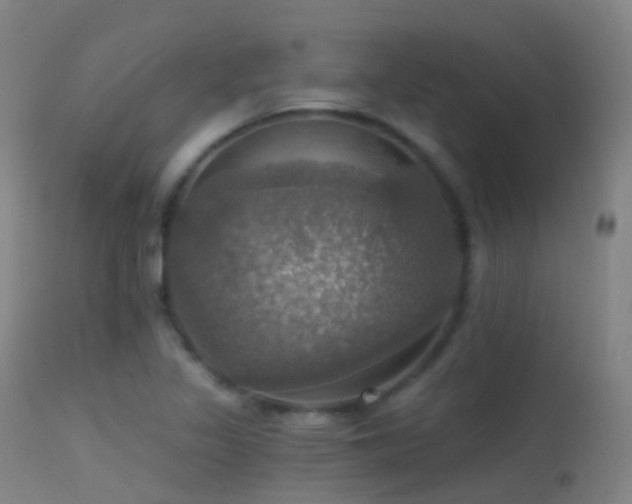 X0000113231317200909171529