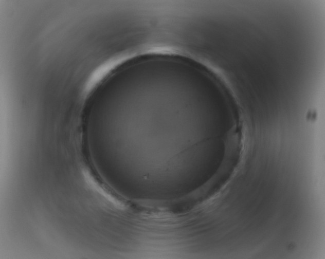 X0000113231319200909171529