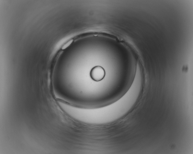 X0000113231320200909171529