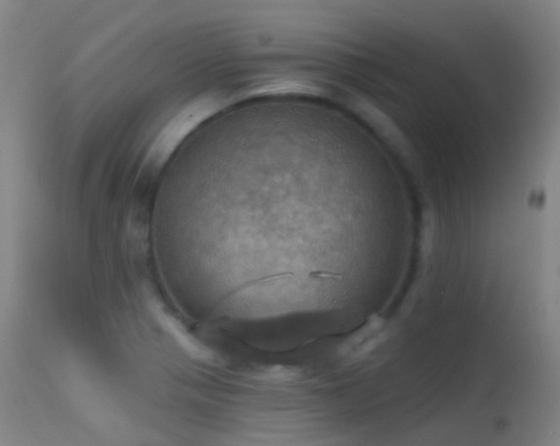 X0000113231321200909171529