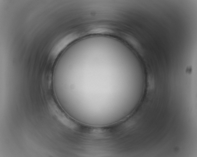 X0000113231322200909171530