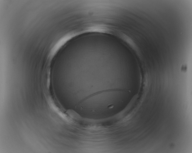 X0000113231323200909171530