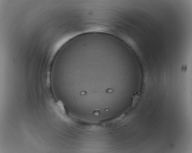 X0000113231324200909171530