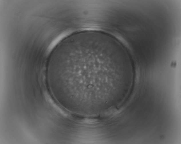 X0000113231325200909171530