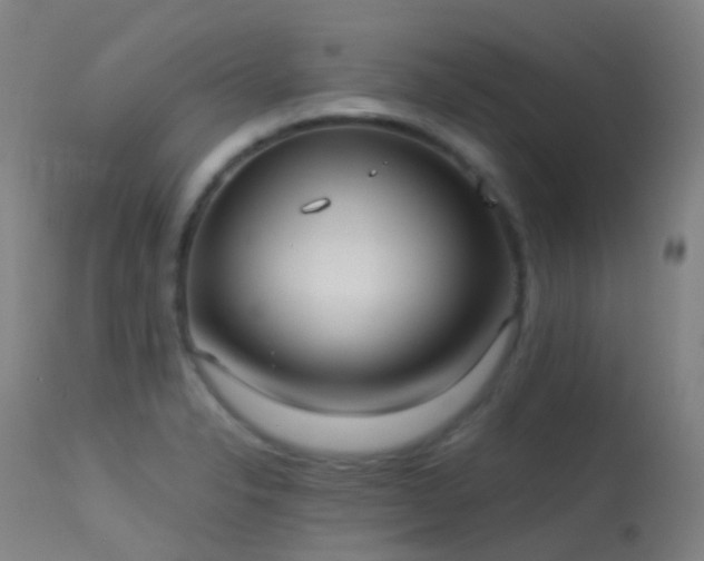 X0000113231326200909171530