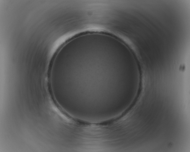 X0000113231327200909171530