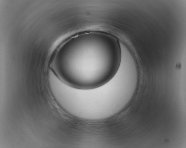 X0000113231328200909171530