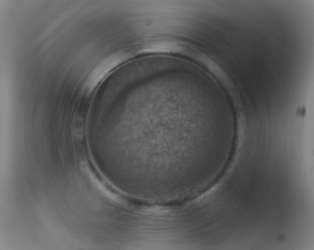 X0000113231329200909171530