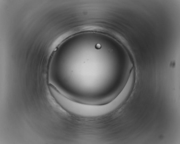 X0000113231330200909171530