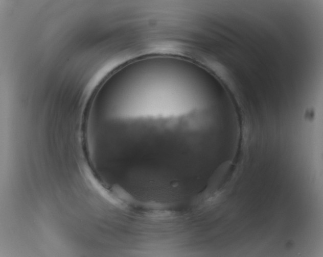X0000113231331200909171530