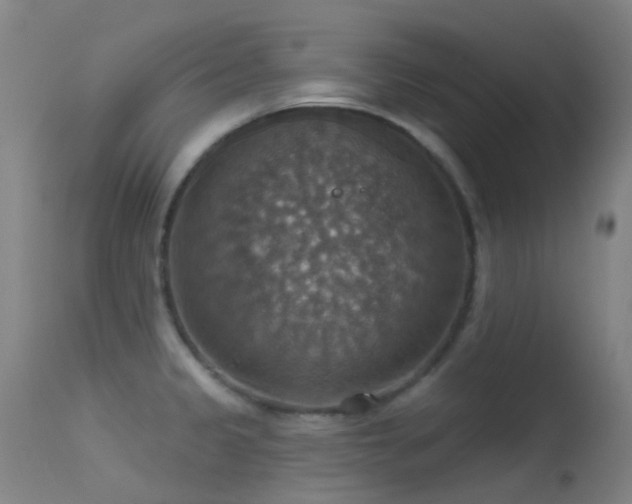 X0000113231333200909171530