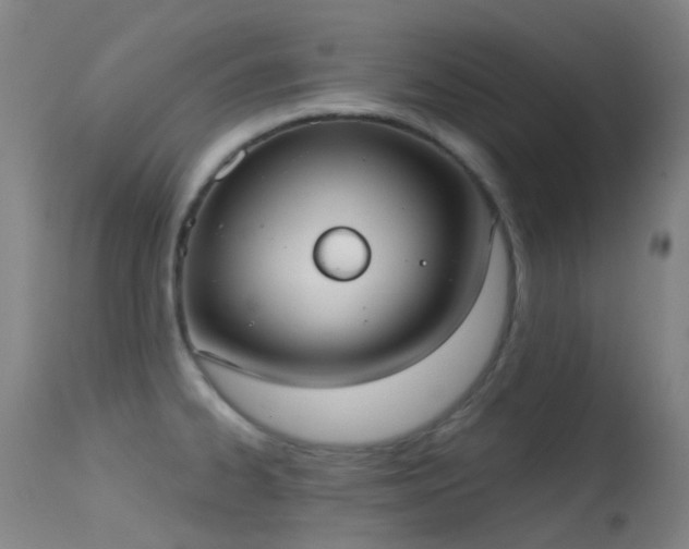 X0000113231334200909171530