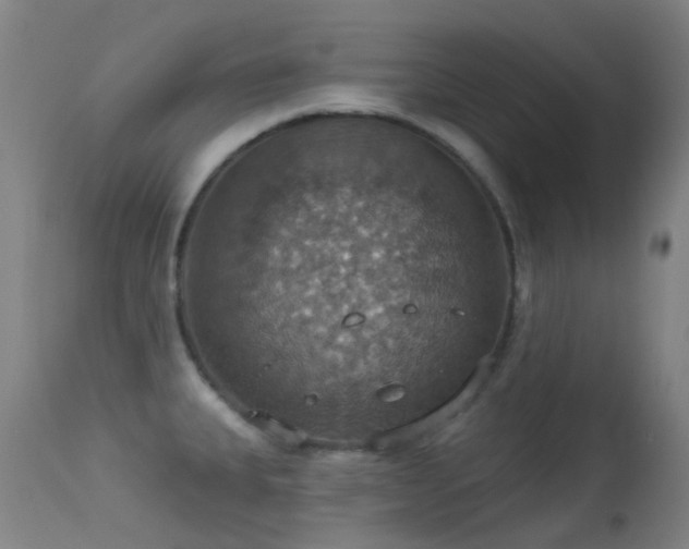 X0000113231335200909171530
