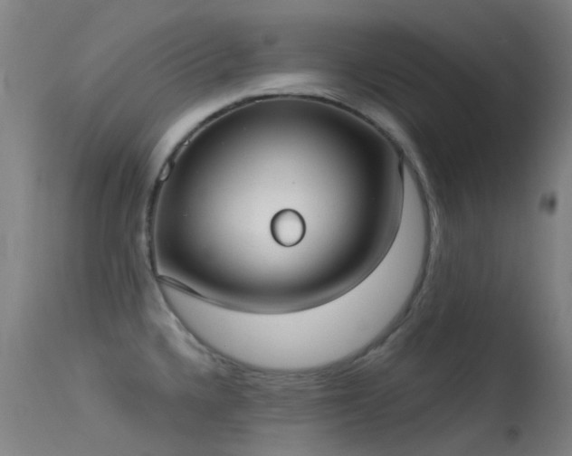 X0000113231336200909171530