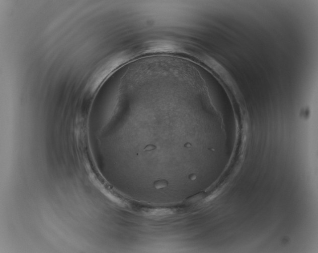 X0000113231337200909171530