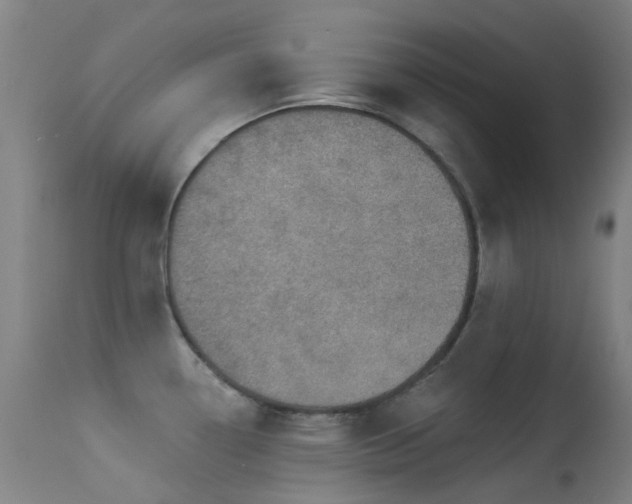 X0000113231338200909171530
