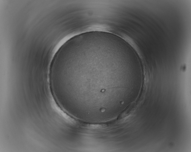 X0000113231339200909171530