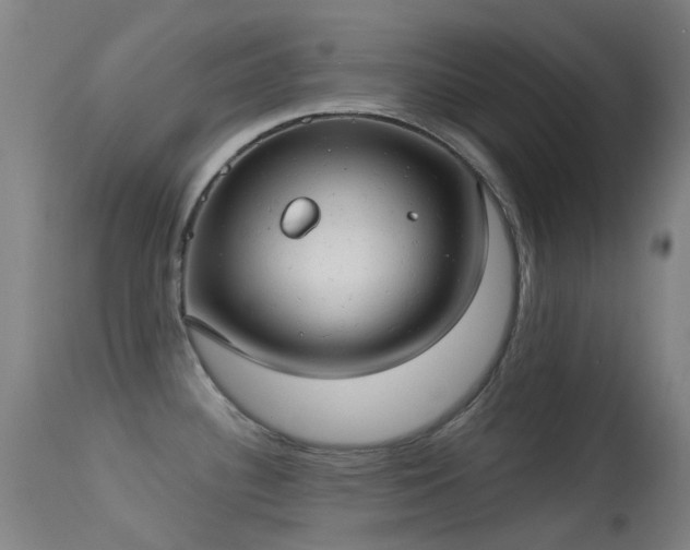 X0000113231340200909171530