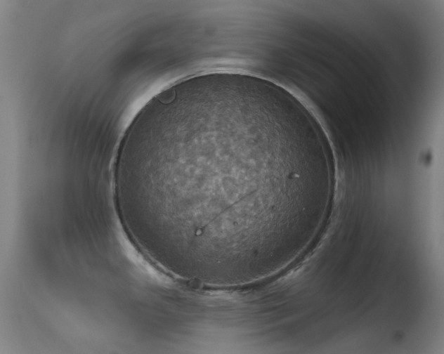 X0000113231341200909171530