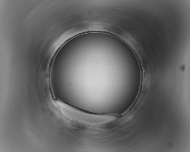 X0000113231342200909171530