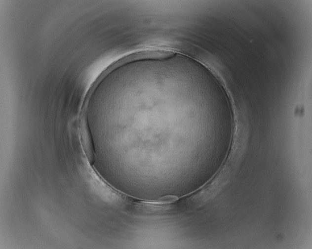 X0000113231344200909171530