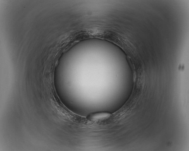 X0000113231345200909171529