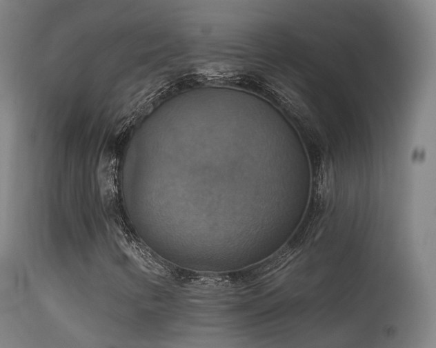 X0000113231346200909171529