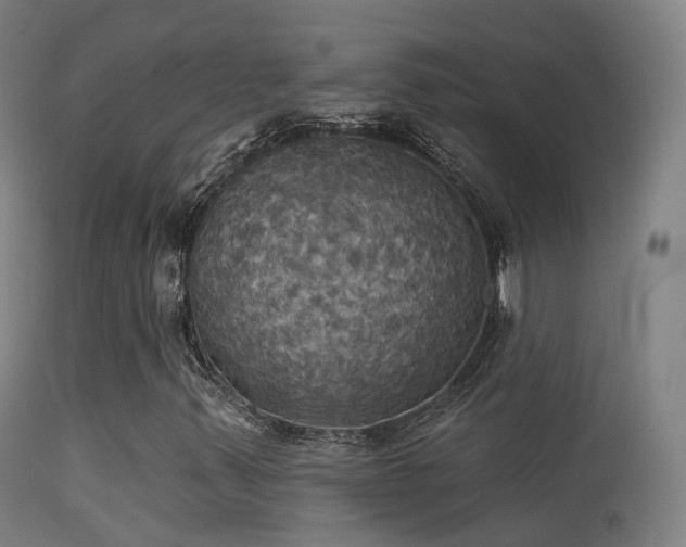 X0000113231347200909171529