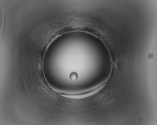 X0000113231348200909171529