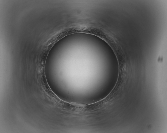 X0000113231349200909171529