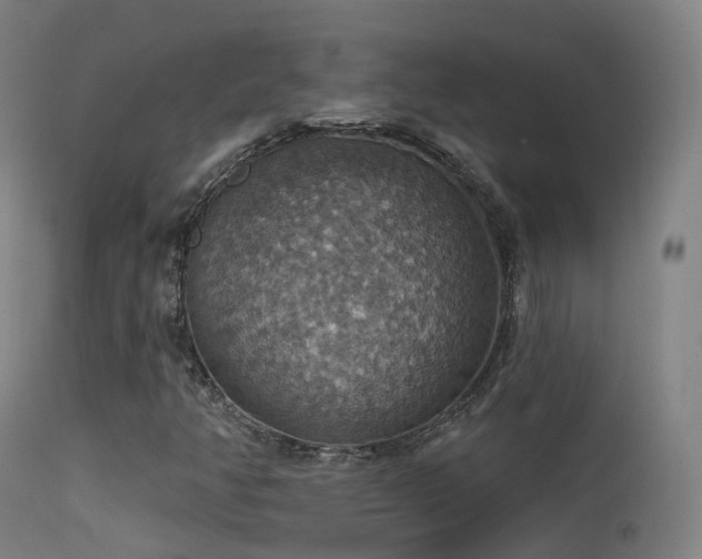 X0000113231350200909171529