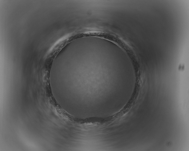 X0000113231351200909171529