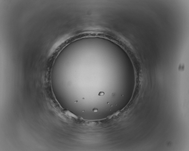 X0000113231352200909171529