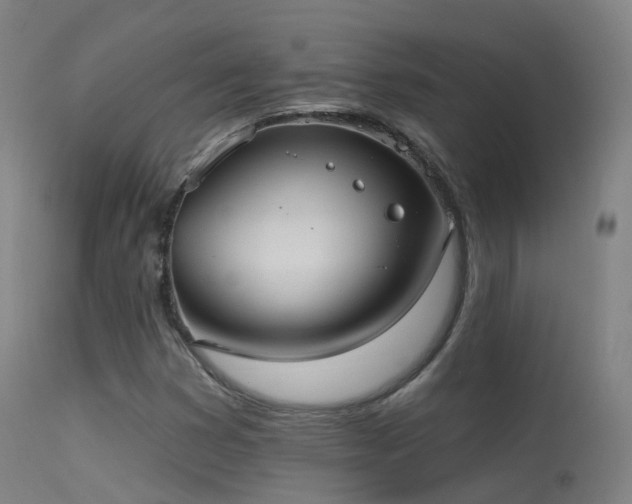 X0000113231353200909171529