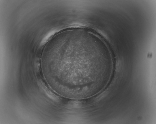 X0000113231355200909171529