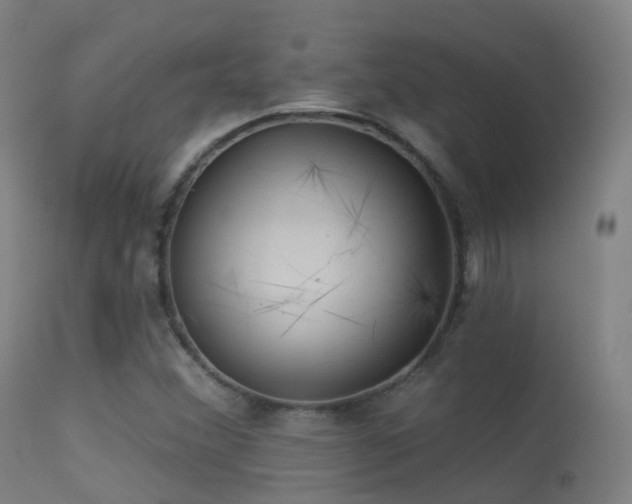 X0000113231356200909171529