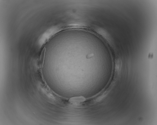 X0000113231357200909171529