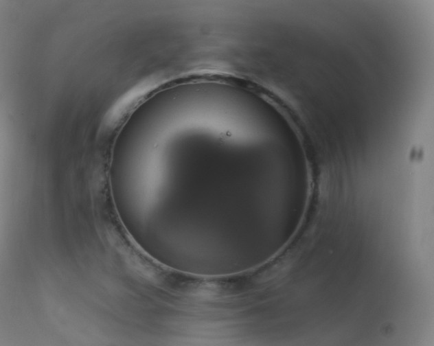 X0000113231359200909171529