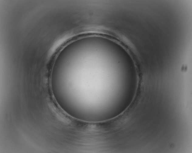 X0000113231360200909171529