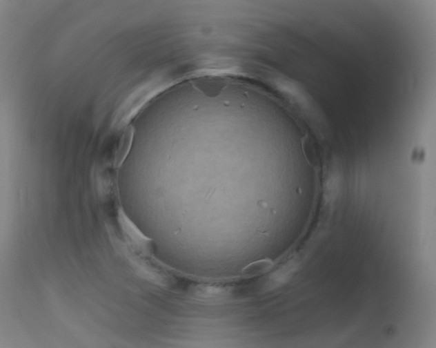 X0000113231361200909171529