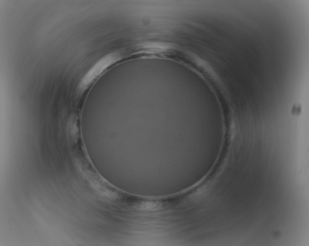 X0000113231362200909171529