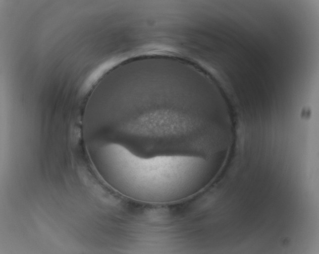 X0000113231363200909171529